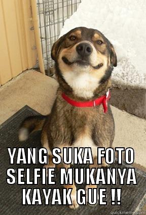  YANG SUKA FOTO SELFIE MUKANYA KAYAK GUE !! Good Dog Greg