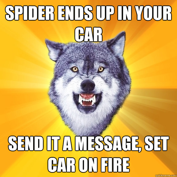 Spider ends up in your car Send it a message, Set car on fire  Courage Wolf