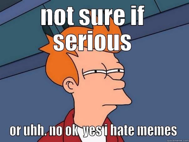 NOT SURE IF SERIOUS OR UHH. NO OK  YES I HATE MEMES Futurama Fry