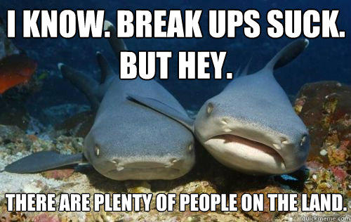 I know. Break ups suck. But hey. There are plenty of people on the land.  Compassionate Shark Friend