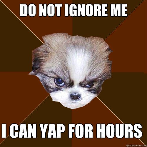 do not ignore me i can yap for hours - do not ignore me i can yap for hours  Angry