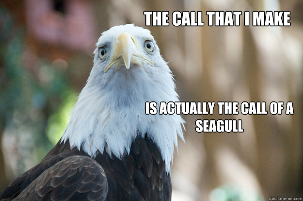 Confession Bald Eagle memes | quickmeme