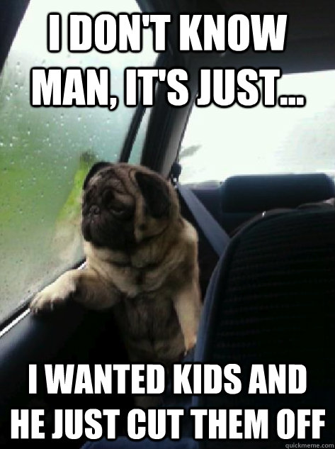 I don't know man, it's just... I wanted kids and he just cut them off  Introspective Pug