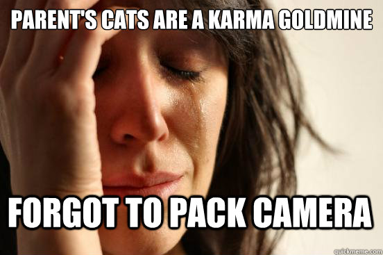 Parent's cats are a karma goldmine Forgot to pack camera  First World Problems