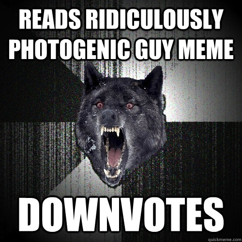 Reads ridiculously photogenic guy meme downvotes  Insanity Wolf