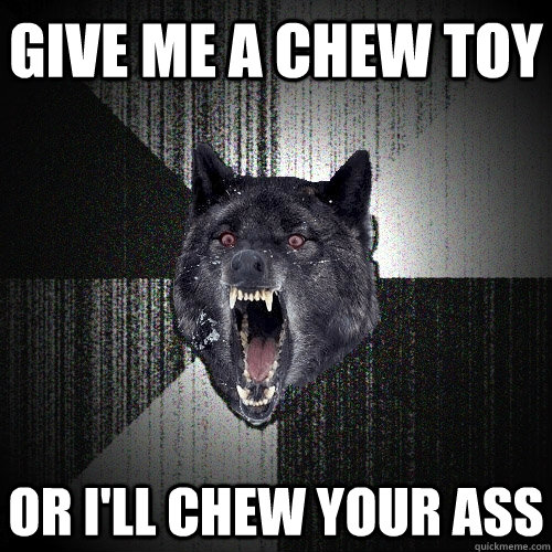 Give me a chew toy or i'll chew your ass  Insanity Wolf
