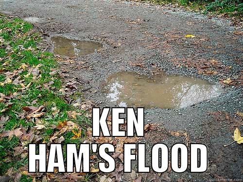 KEN HAM'S FLOOD Misc