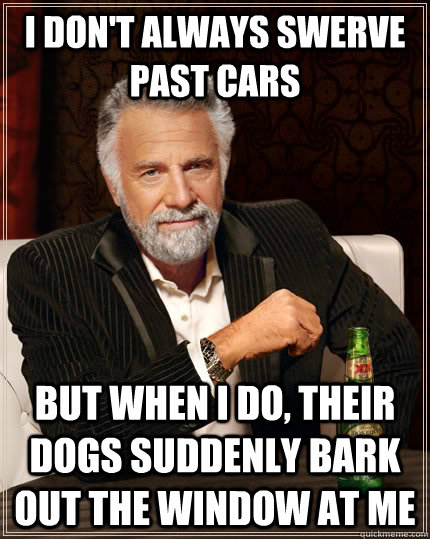 I don't always swerve past cars but when I do, their dogs suddenly bark out the window at me  The Most Interesting Man In The World