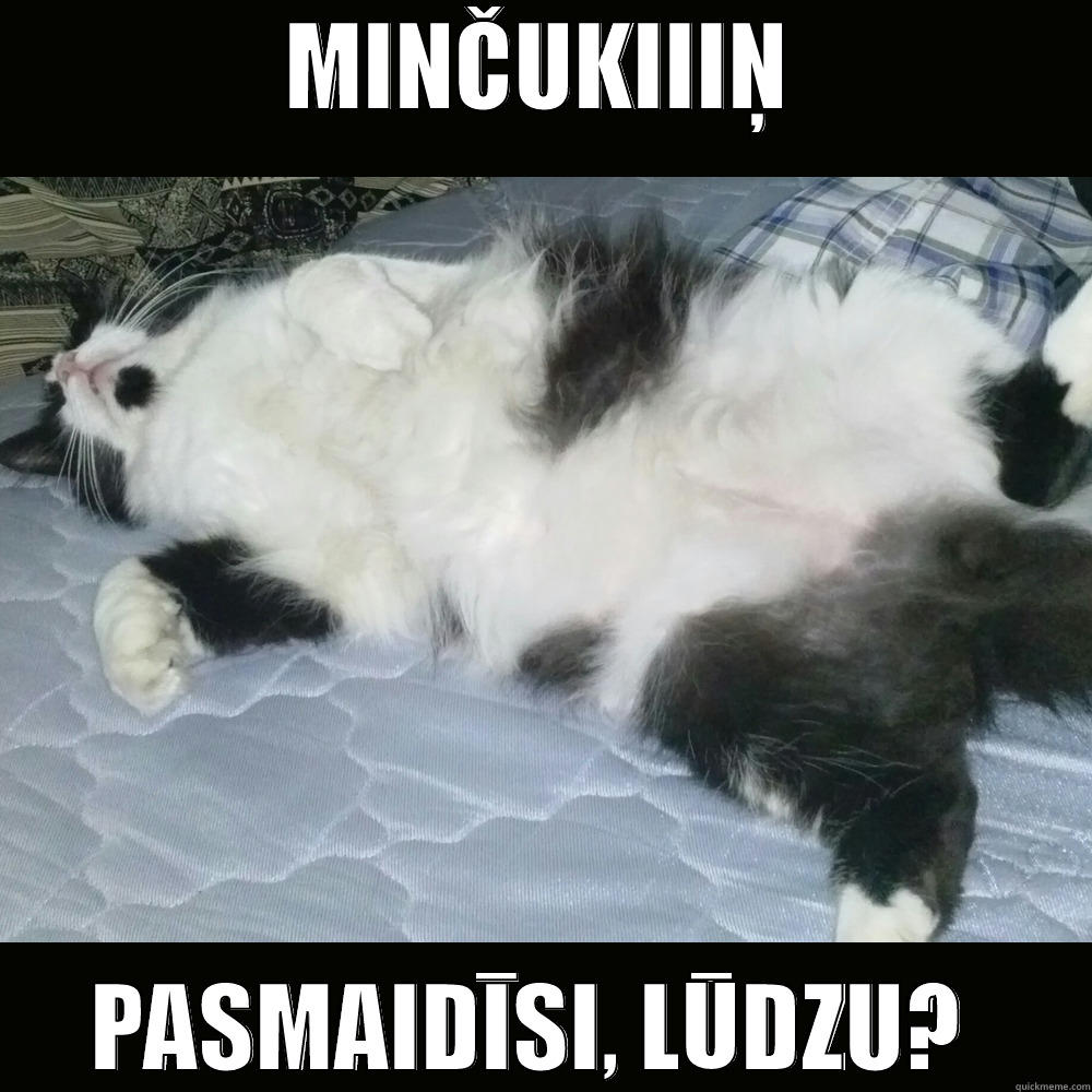 MINČUKIIIŅ PASMAIDĪSI, LŪDZU?  Misc