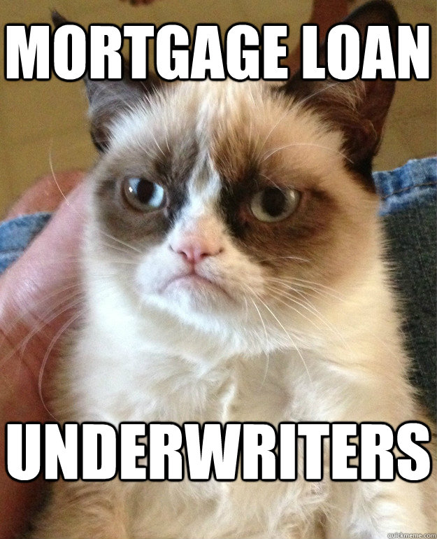 mortgage loan underwriters - mortgage loan underwriters  Grumpy Cat