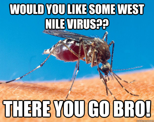 would you like some west nile virus?? there you go bro!  