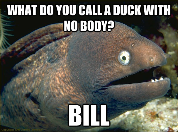 what do you call a duck with no body? bill  Bad Joke Eel