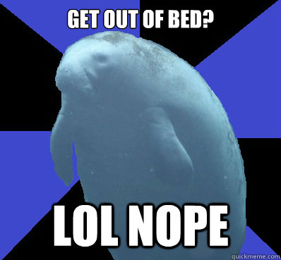 get out of bed? lol nope - get out of bed? lol nope  Fat Manatee