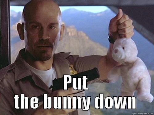  PUT THE BUNNY DOWN Misc