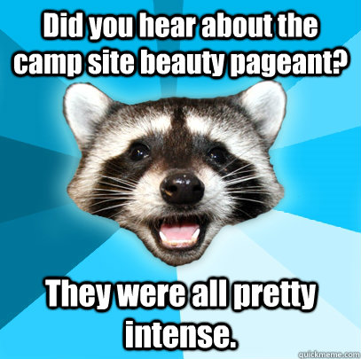 Did you hear about the camp site beauty pageant? They were all pretty intense.  Lame Pun Coon