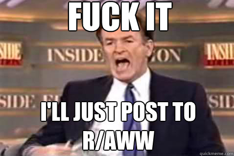 fuck it I'll just post to r/aww  Fuck It Bill OReilly