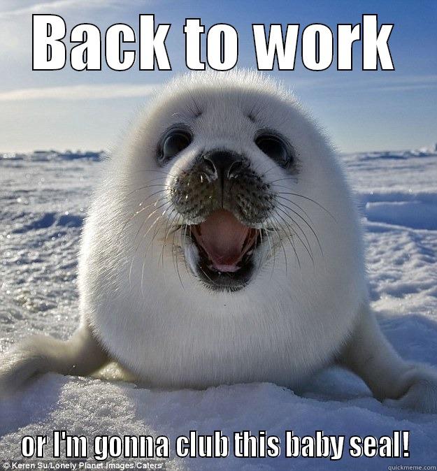 BACK TO WORK OR I'M GONNA CLUB THIS BABY SEAL! Easily Pleased Seal