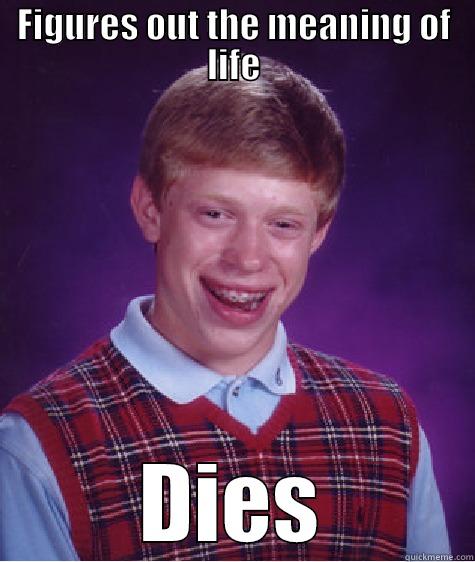 FIGURES OUT THE MEANING OF LIFE DIES Bad Luck Brian