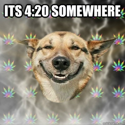 its 4:20 somewhere - its 4:20 somewhere  Stoner Dog