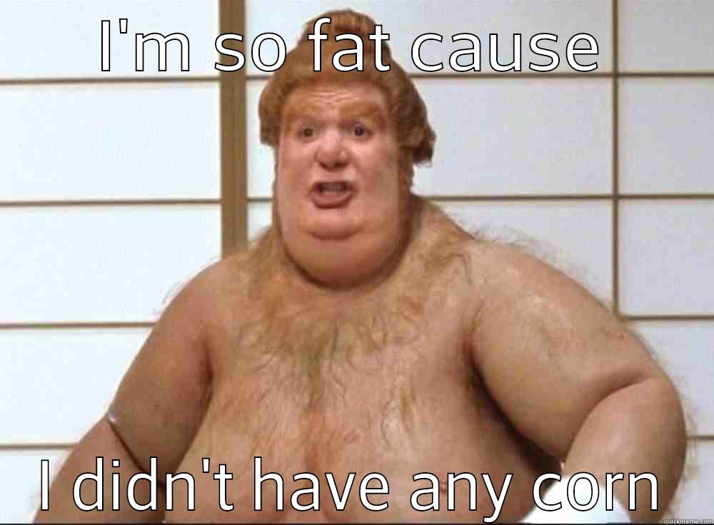 I'M SO FAT CAUSE I DIDN'T HAVE ANY CORN Misc