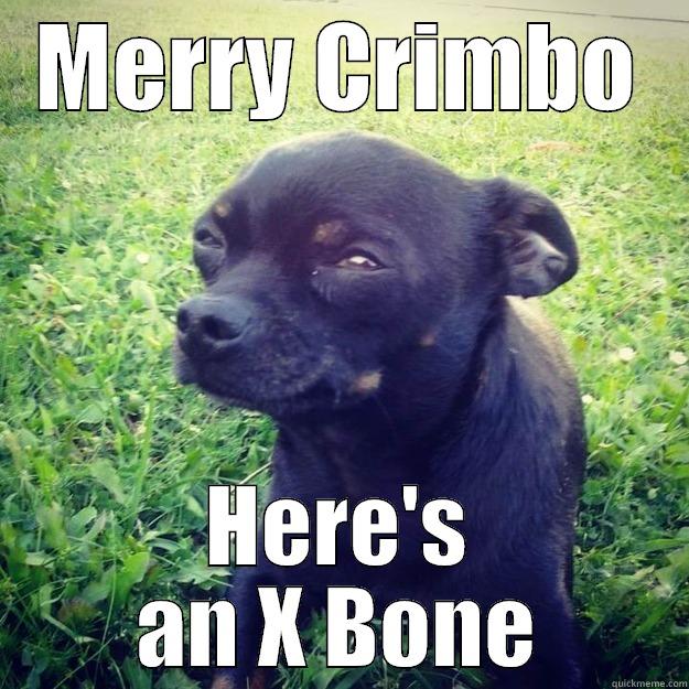 MERRY CRIMBO HERE'S AN X BONE Skeptical Dog