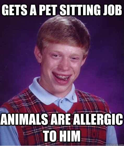 Gets a pet sitting job  Animals are allergic to him  Bad Luck Brian