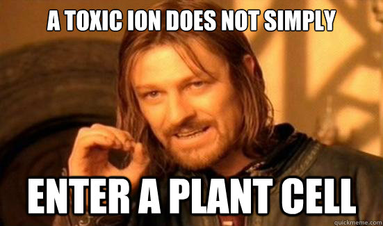 A toxic ion Does not simply enter a plant cell  Boromir