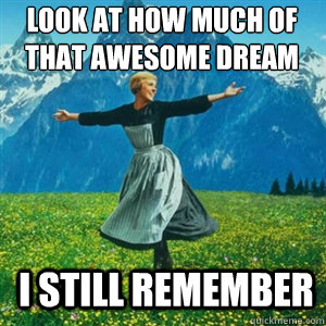 Look at how much of that awesome dream I still remember - Look at how much of that awesome dream I still remember  And look at all the fucks I give