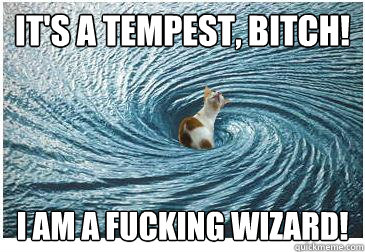 IT's a tempest, bitch! i am a fucking wizard!  Goodbye Cat