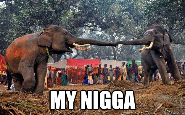  MY NIGGA -  MY NIGGA  Misc