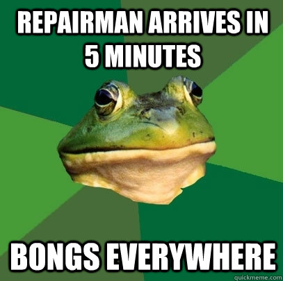 Repairman arrives in 5 minutes Bongs everywhere  Foul Bachelor Frog