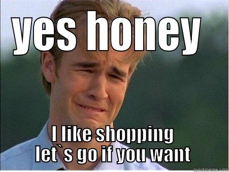 YES HONEY  I LIKE SHOPPING LET`S GO IF YOU WANT 1990s Problems
