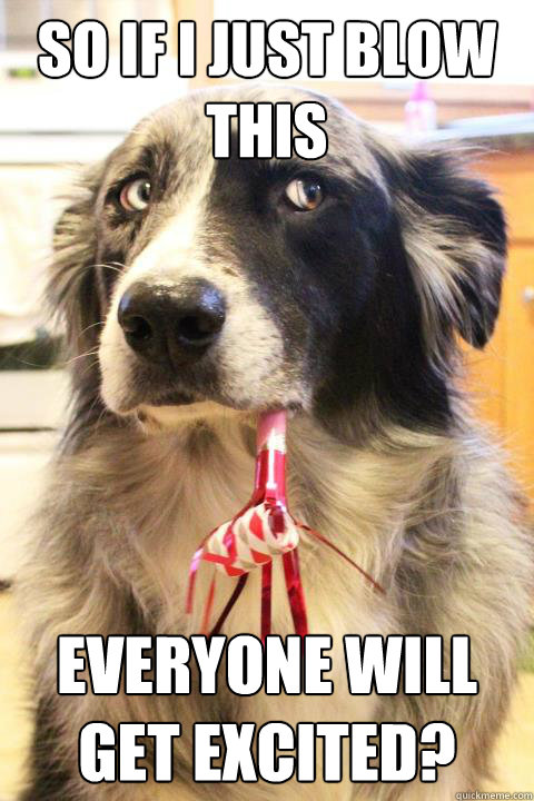 So if I just blow this  Everyone will get excited?  Skeptical Party Dog