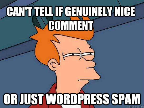 Can't tell if genuinely nice comment Or just Wordpress spam  Futurama Fry