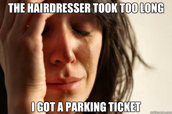 The Hairdresser took too long I got a Parking Ticket  First World Problems