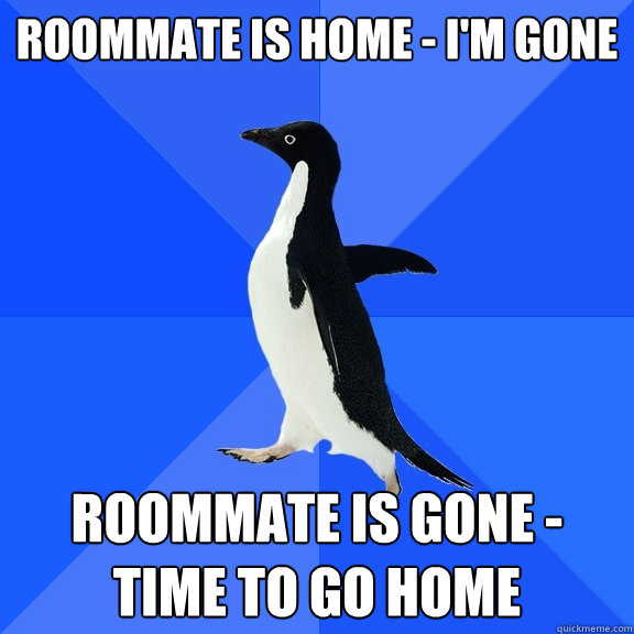 Roommate is home - I'm gone Roommate is gone - time to go home - Roommate is home - I'm gone Roommate is gone - time to go home  Socially Awkward Penguin