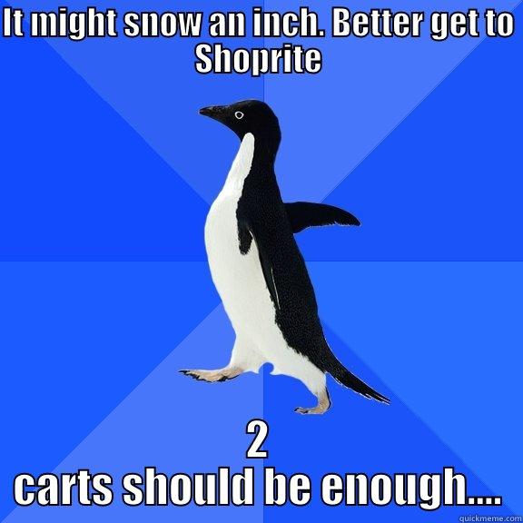 IT MIGHT SNOW AN INCH. BETTER GET TO SHOPRITE  Socially Awkward Penguin