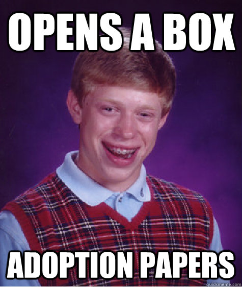 opens a box adoption papers  Bad Luck Brian
