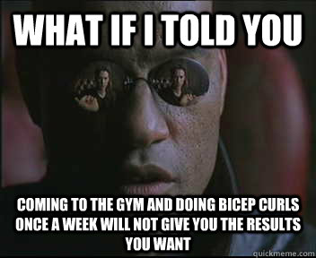 What if I told you coming to the gym and doing bicep curls once a week will not give you the results you want  Morpheus SC