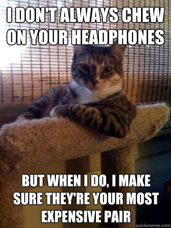 I don't always chew on your headphones but when I do, I make sure they're your most expensive pair  The Most Interesting Cat in the World