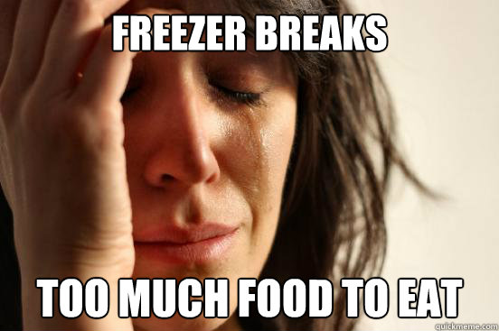 FREEZER BREAKS TOO MUCH FOOD TO EAT  First World Problems