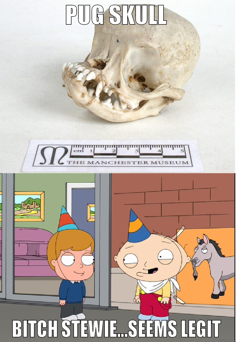 PUG SKULL BITCH STEWIE...SEEMS LEGIT Misc