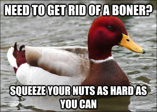 Need to get rid of a boner? Squeeze your nuts as hard as you can  Malicious Advice Mallard