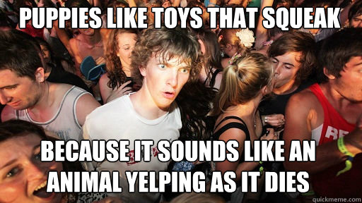 Puppies like toys that squeak 
 because it sounds like an animal yelping as it dies  Sudden Clarity Clarence