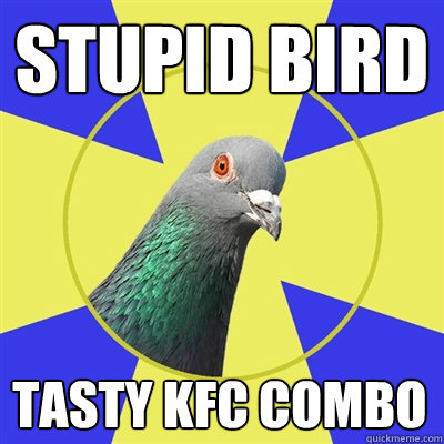 Stupid bird Tasty kfc combo  Religion Pigeon
