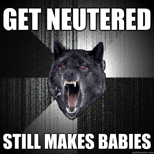 Get Neutered Still makes babies  Insanity Wolf