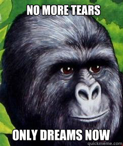 No more tears Only dreams now  gorilla munch