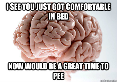 I SEE YOU JUST GOT COMFORTABLE IN BED NOW WOULD BE A GREAT TIME TO PEE  Scumbag Brain
