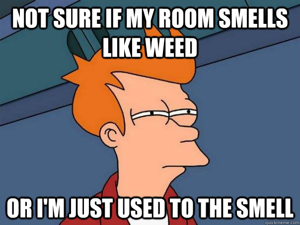 Not sure if my room smells like weed Or I'm just used to the smell  Futurama Fry