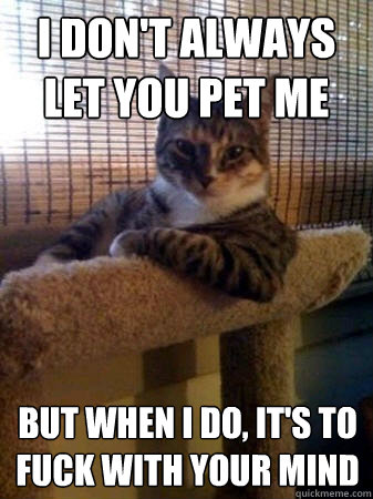 I don't always let you pet me but when I do, it's to fuck with your mind  The Most Interesting Cat in the World